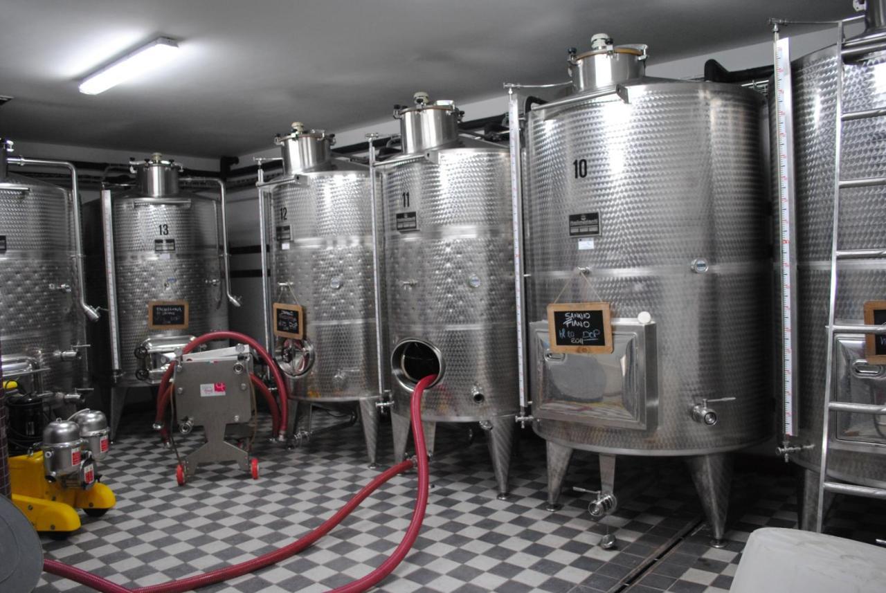 Agriturismo Cantina Morone Guardia Sanframondi Экстерьер фото