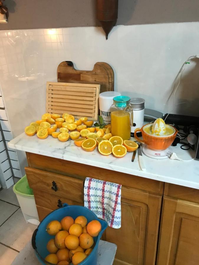 Agriturismo Cantina Morone Guardia Sanframondi Экстерьер фото